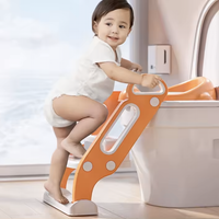 Toddler Potty Training Seat